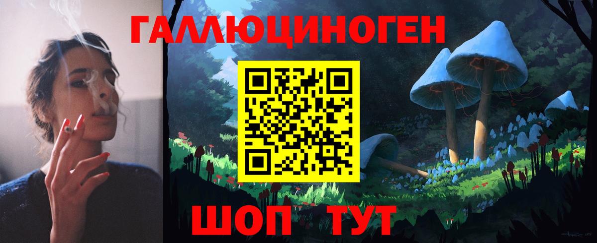 Галлюциногенные грибы Psilocybine cubensis Железногорск